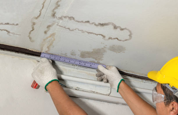 Reliable Mold Remediation contractor in Harkers Island, NC by Water Damage Irwin